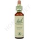 Bach Flower Remedies for Animals - Holly